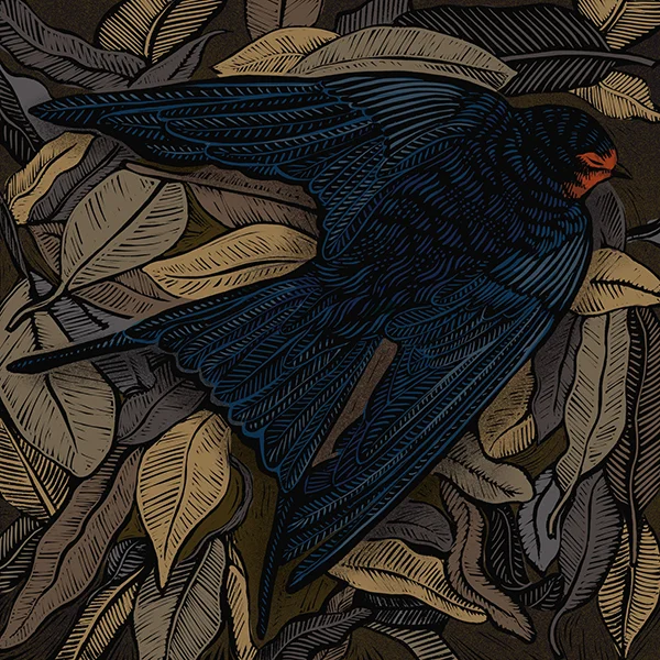 Swallow.jpg