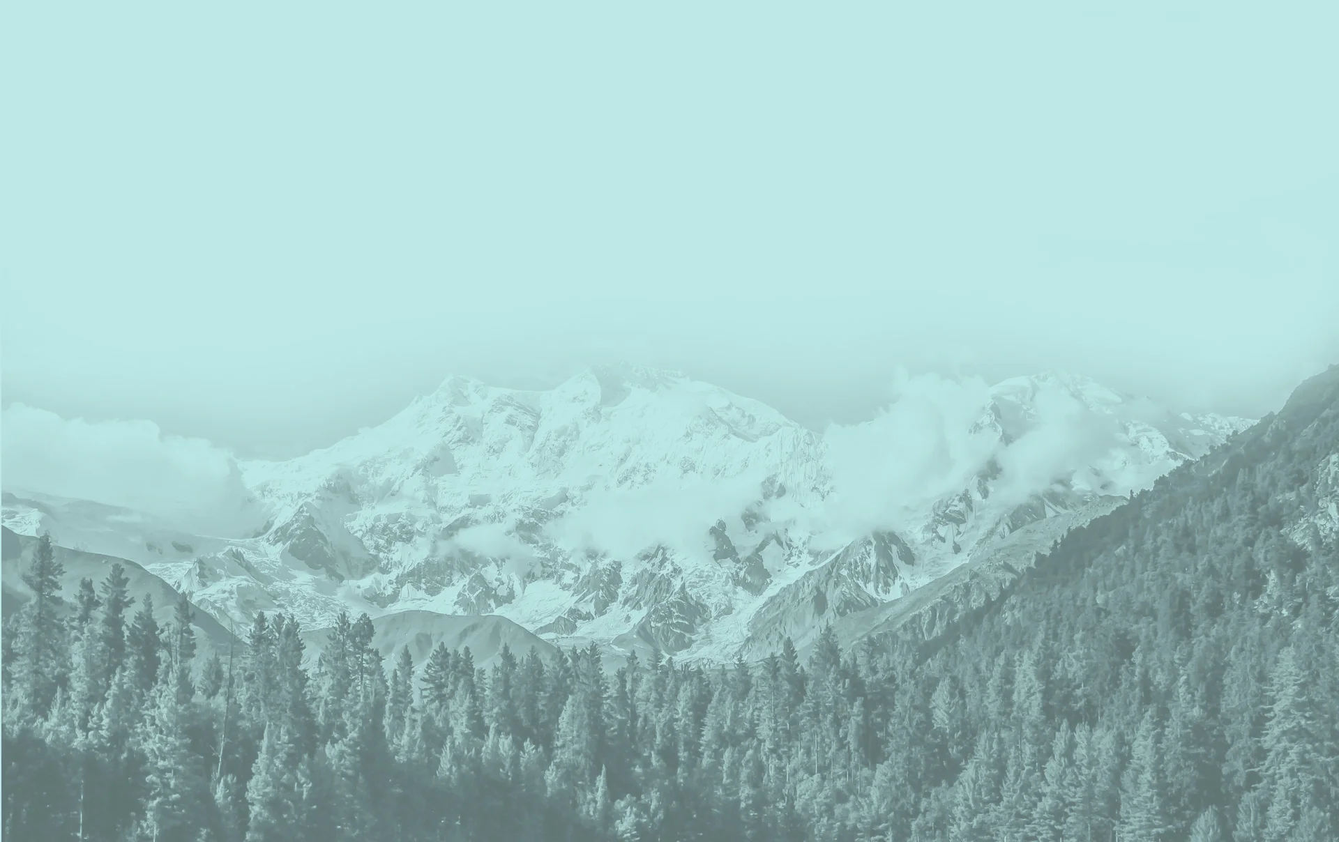 forest-blue-bg.jpg