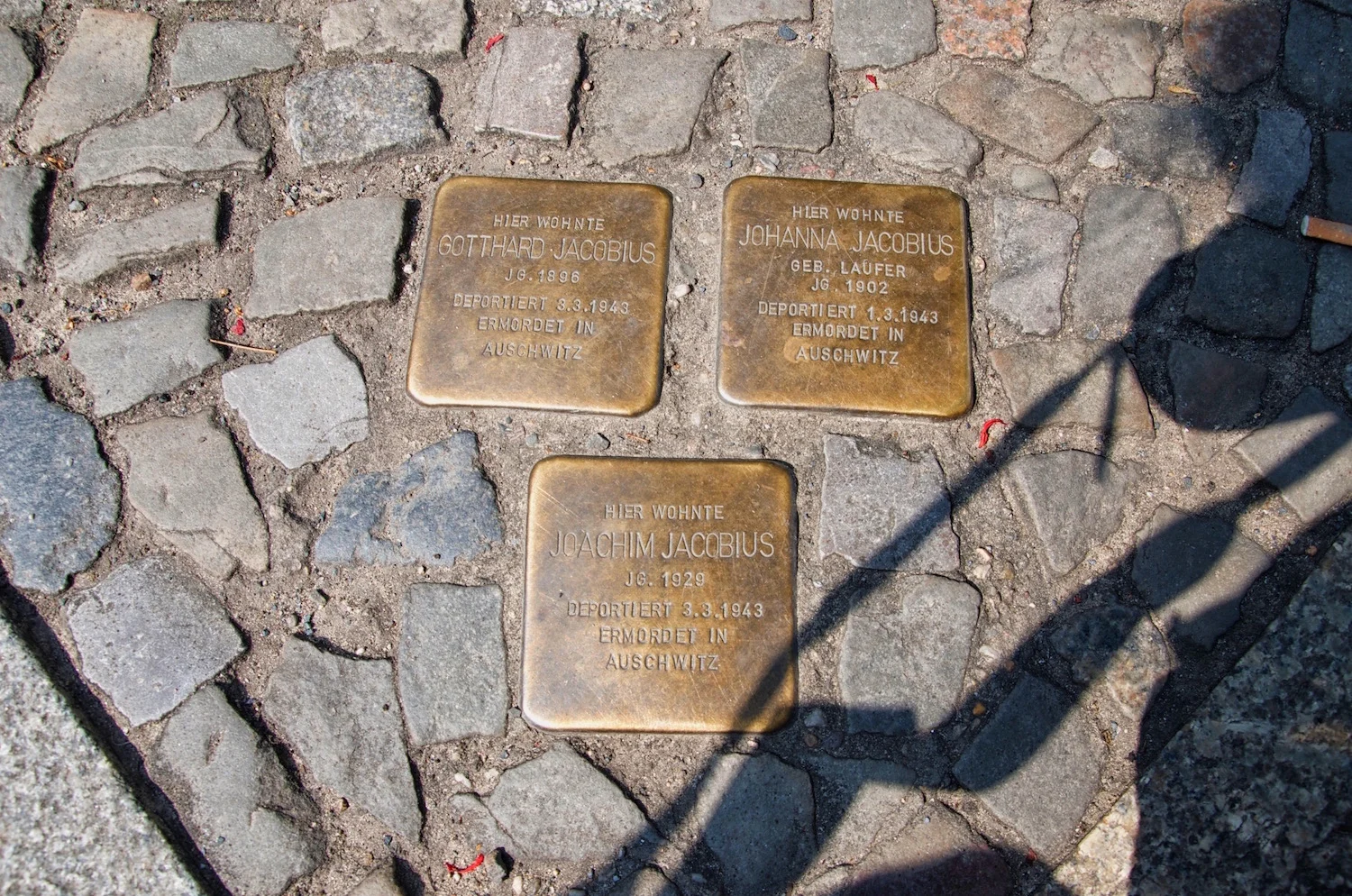 _DSC7433 (1).jpg