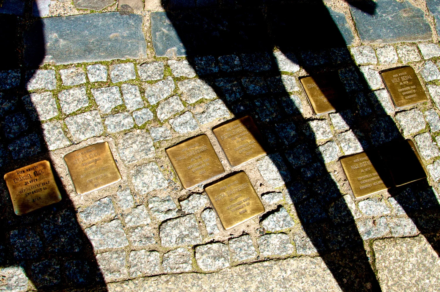 _DSC7606.jpg