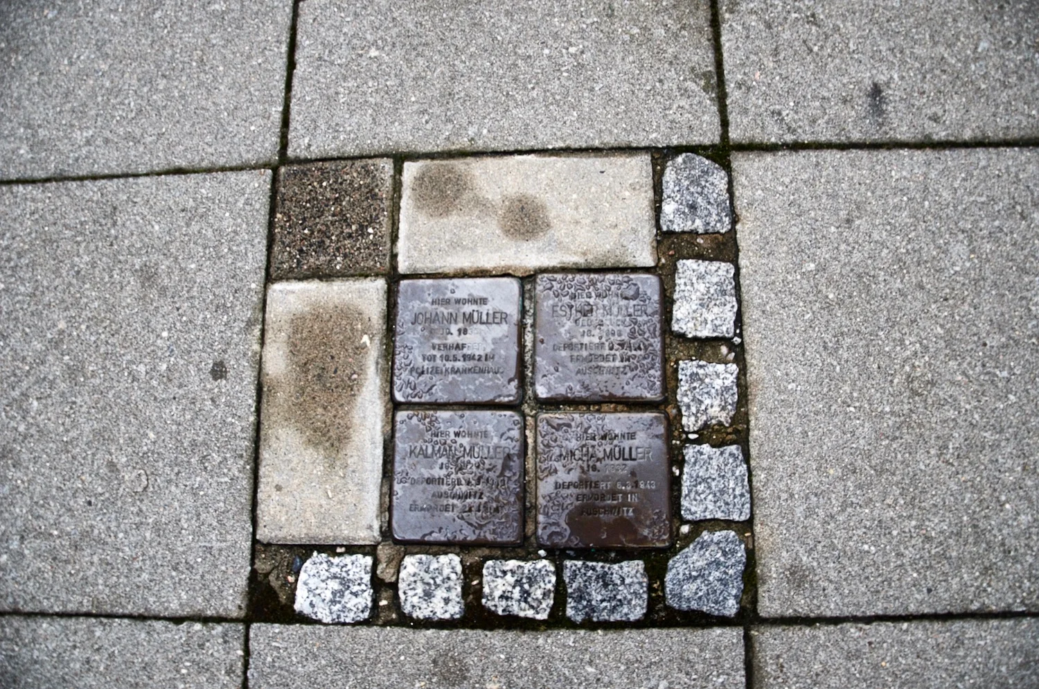 _DSC9559.jpg