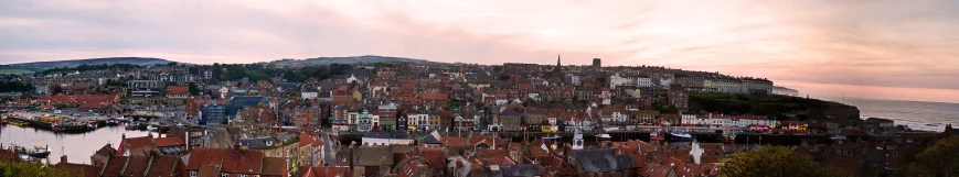 Whitby From The Abbey