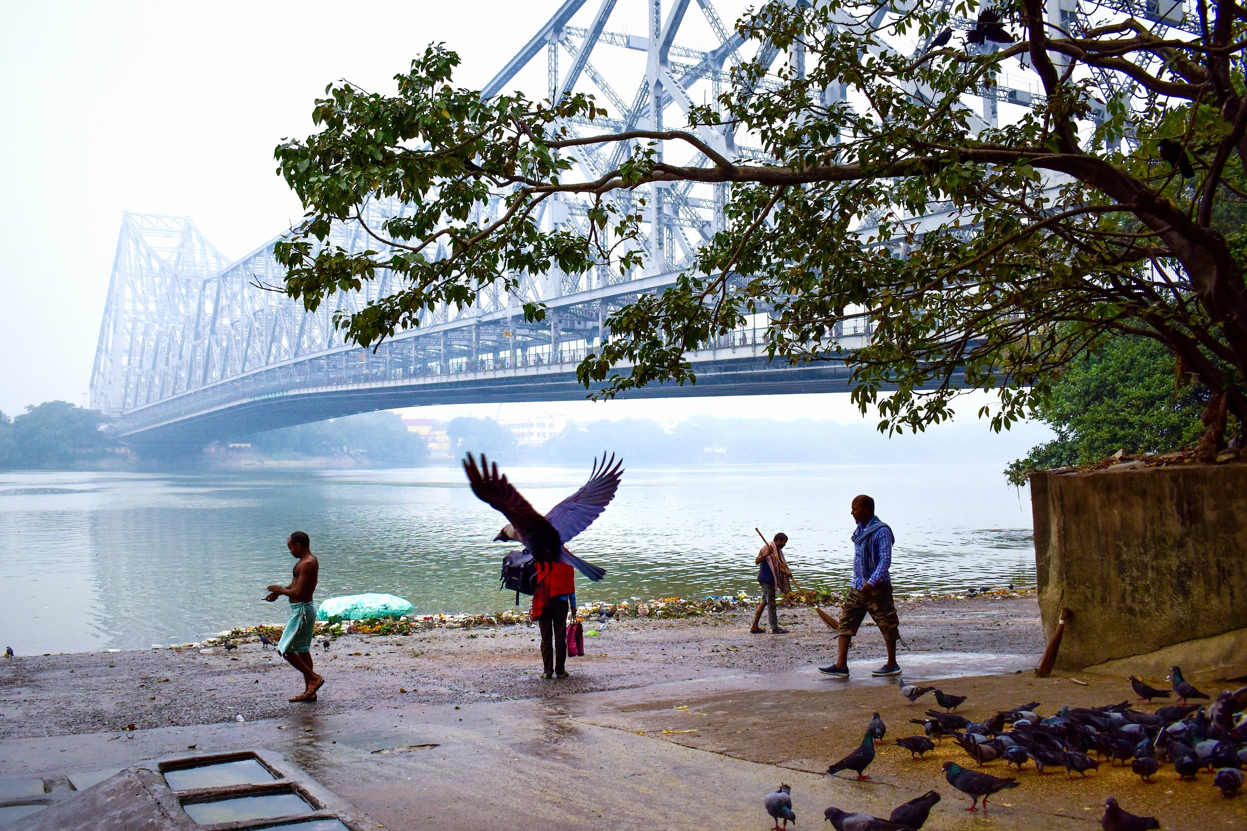 Kolkata street_.jpg