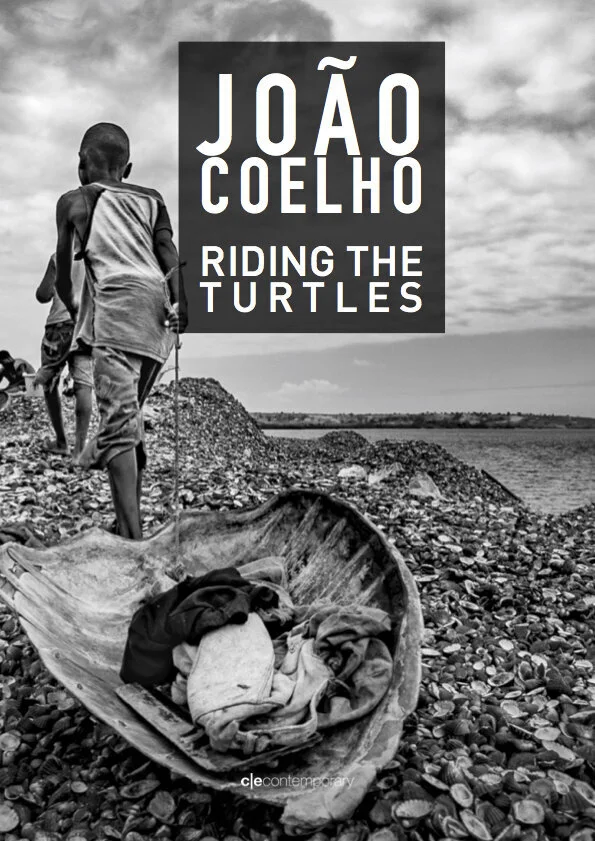 JOÃO COELHO RIDING THE TURTLES