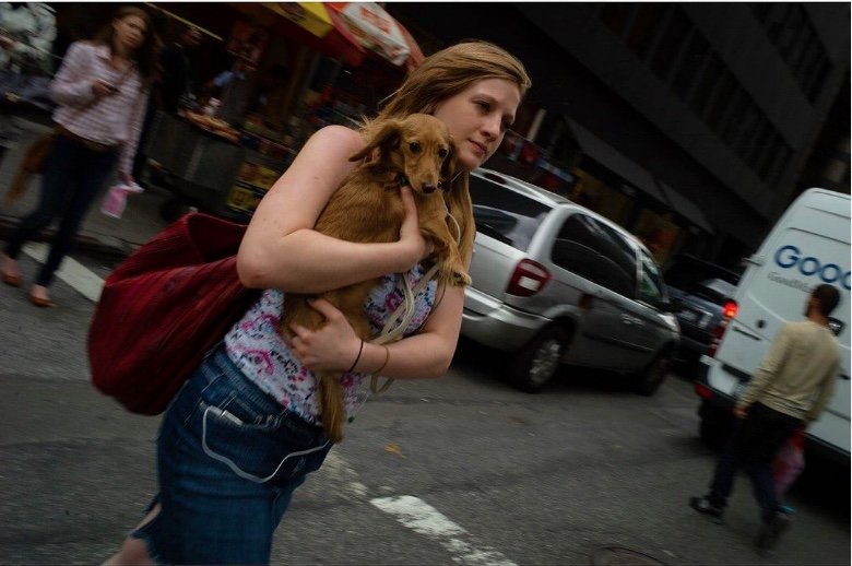 From the archive. New Yorkers and their doggies ..jpeg