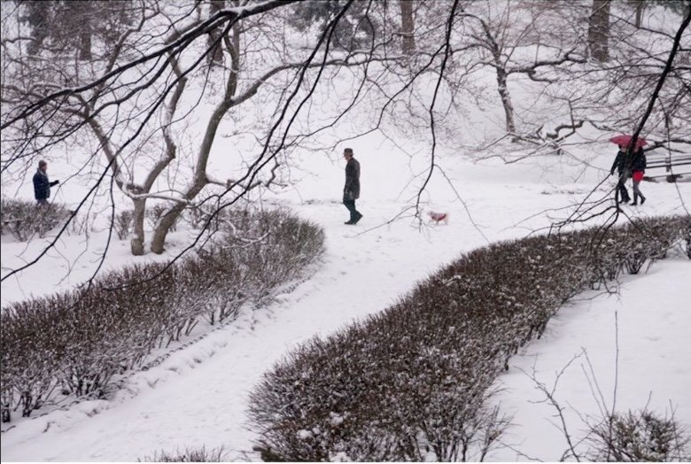 Central Park, NYC, 2015