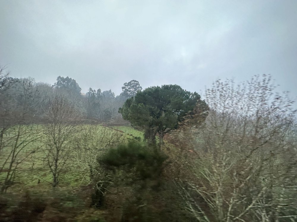 From_a_moving_train_window_#4-Portugal.jpg