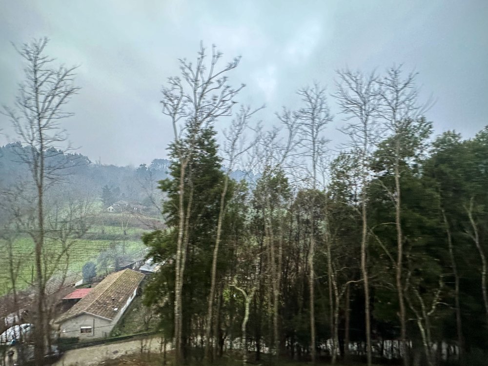 From_a_moving_train_window_#7-Portugal_copy.jpg