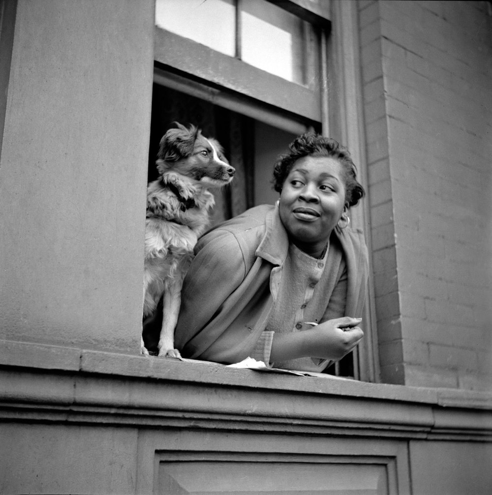 Woman and Dog in Window, Harlem, New York, 1943