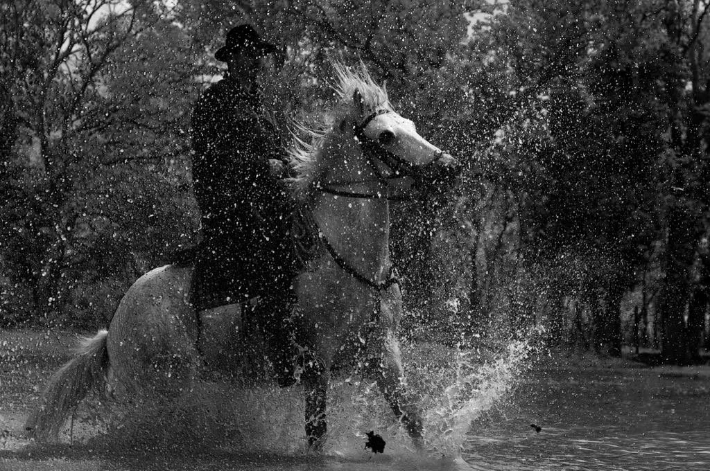 Camargue Myriam Aadli