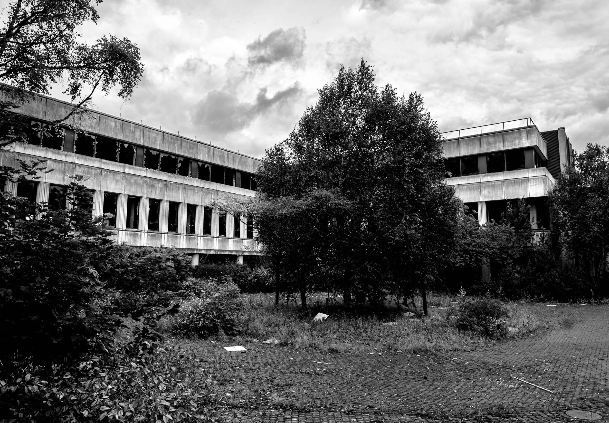IMG_5639.jpeg