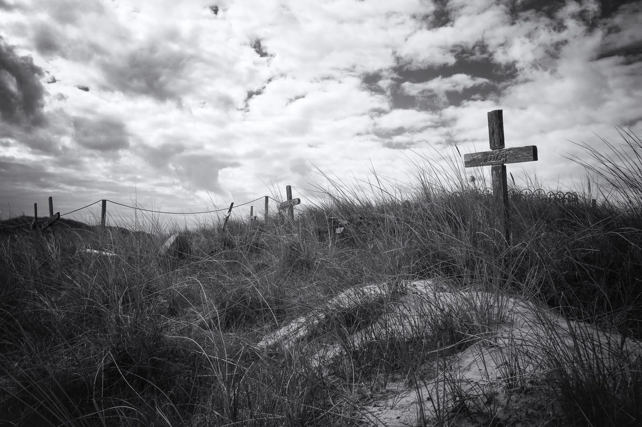 Hans Severin -This is a pet cemetery with lost souls marked by crosses, but it could be more. The dead in the sand feels poignant—a powerful image.