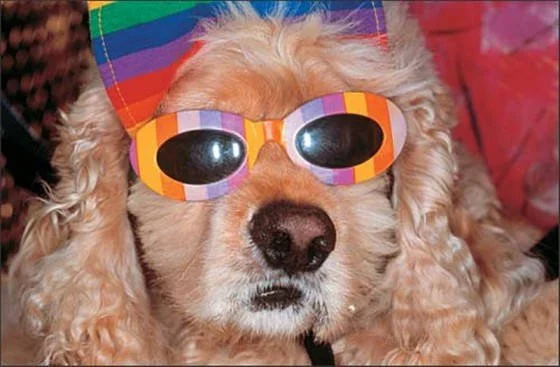 parr_commonsense1_lggood_560x367_by_batsceba_d9c0m80-375w-2x.jpg