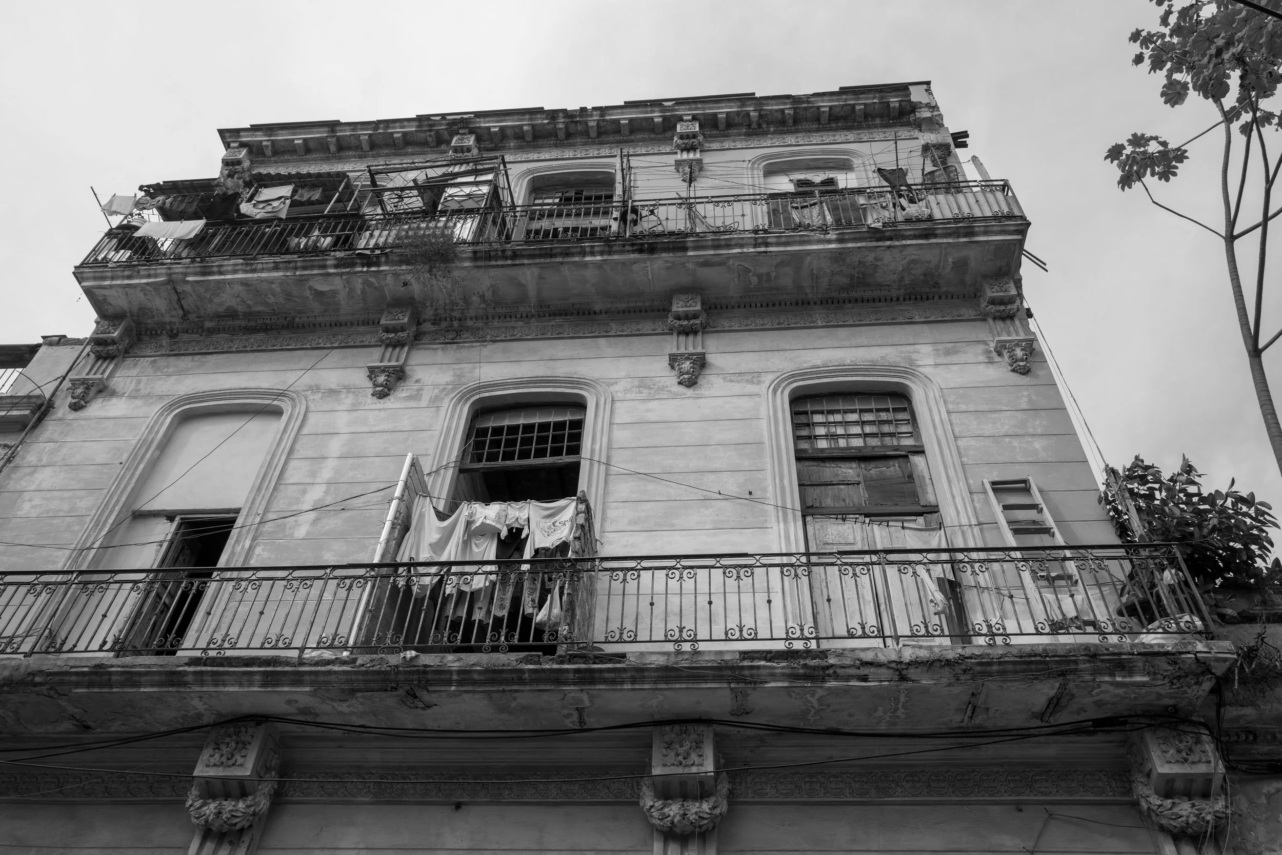 L1004074.jpg