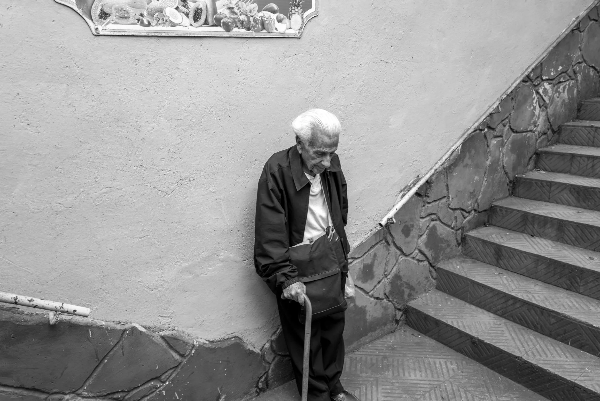 L1003942.jpg