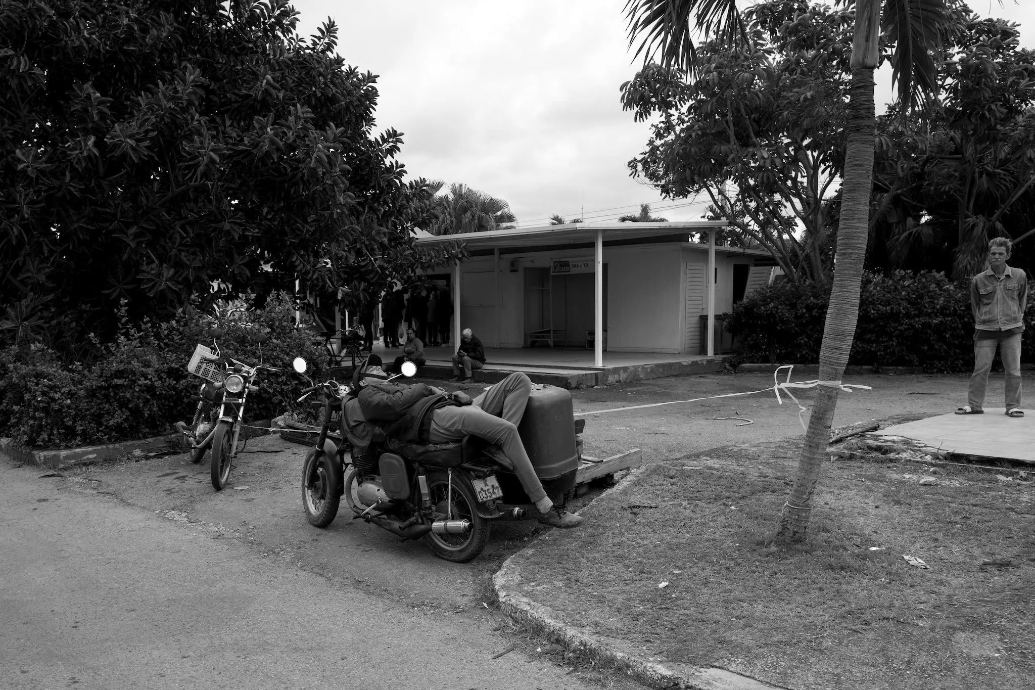 L1003968.jpg