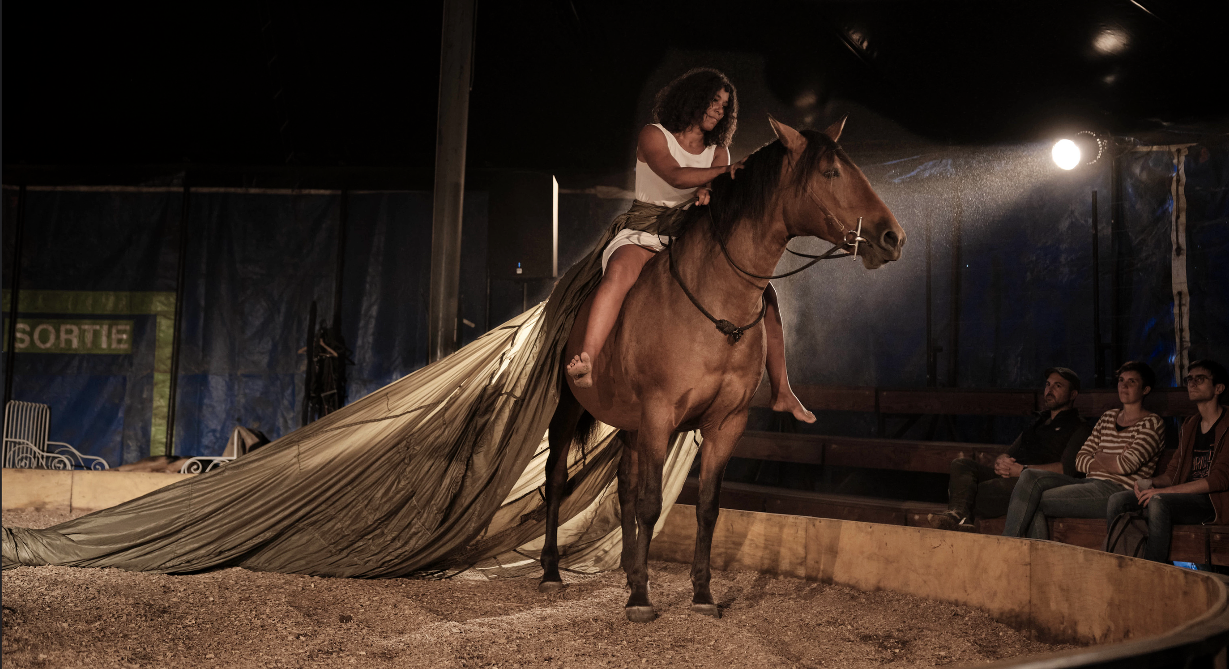 "ESOD"  by Alain van Hille