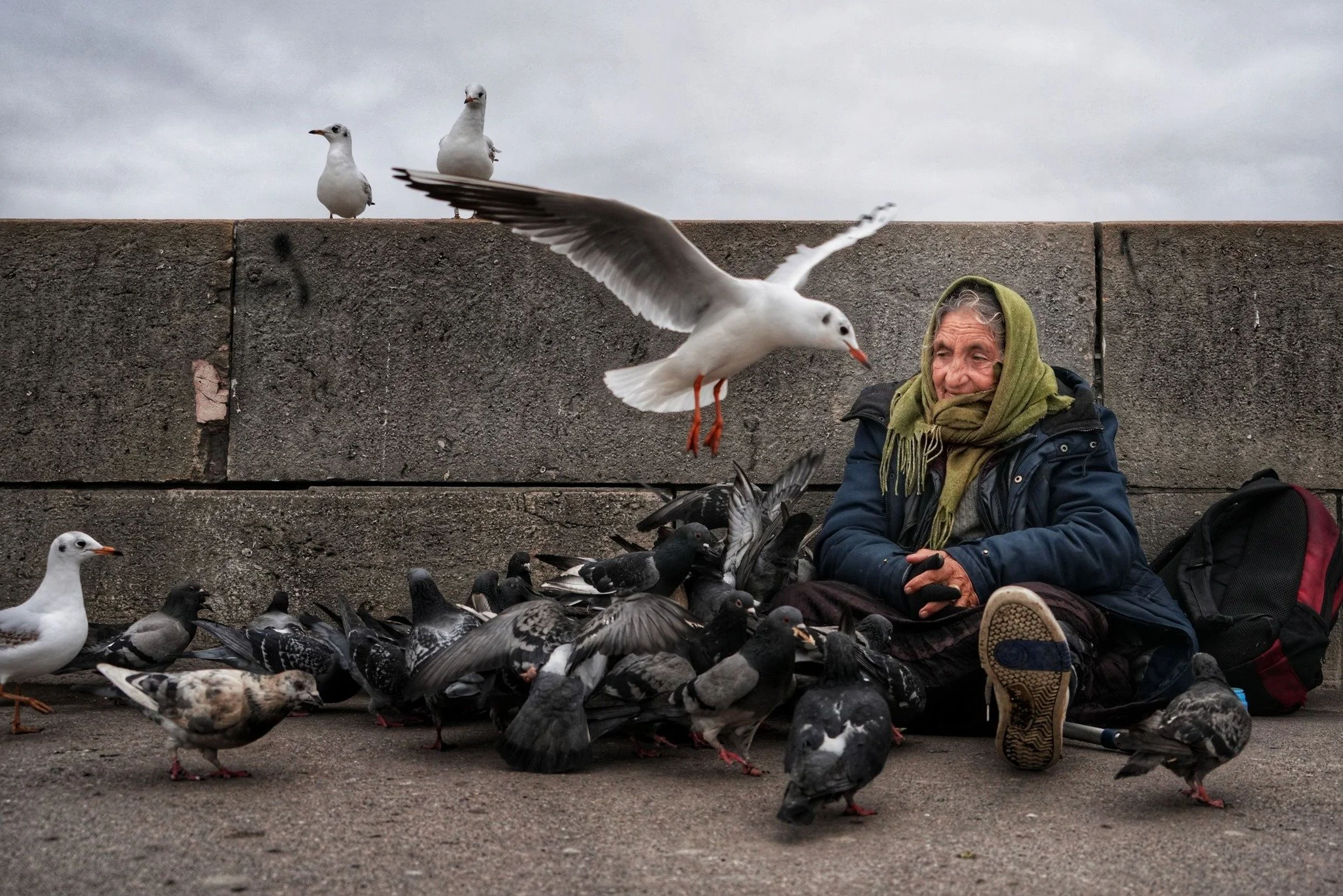  Beggar With Bird by Bülent Zeren