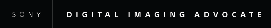 SDIA_Logo_Long_Black.png