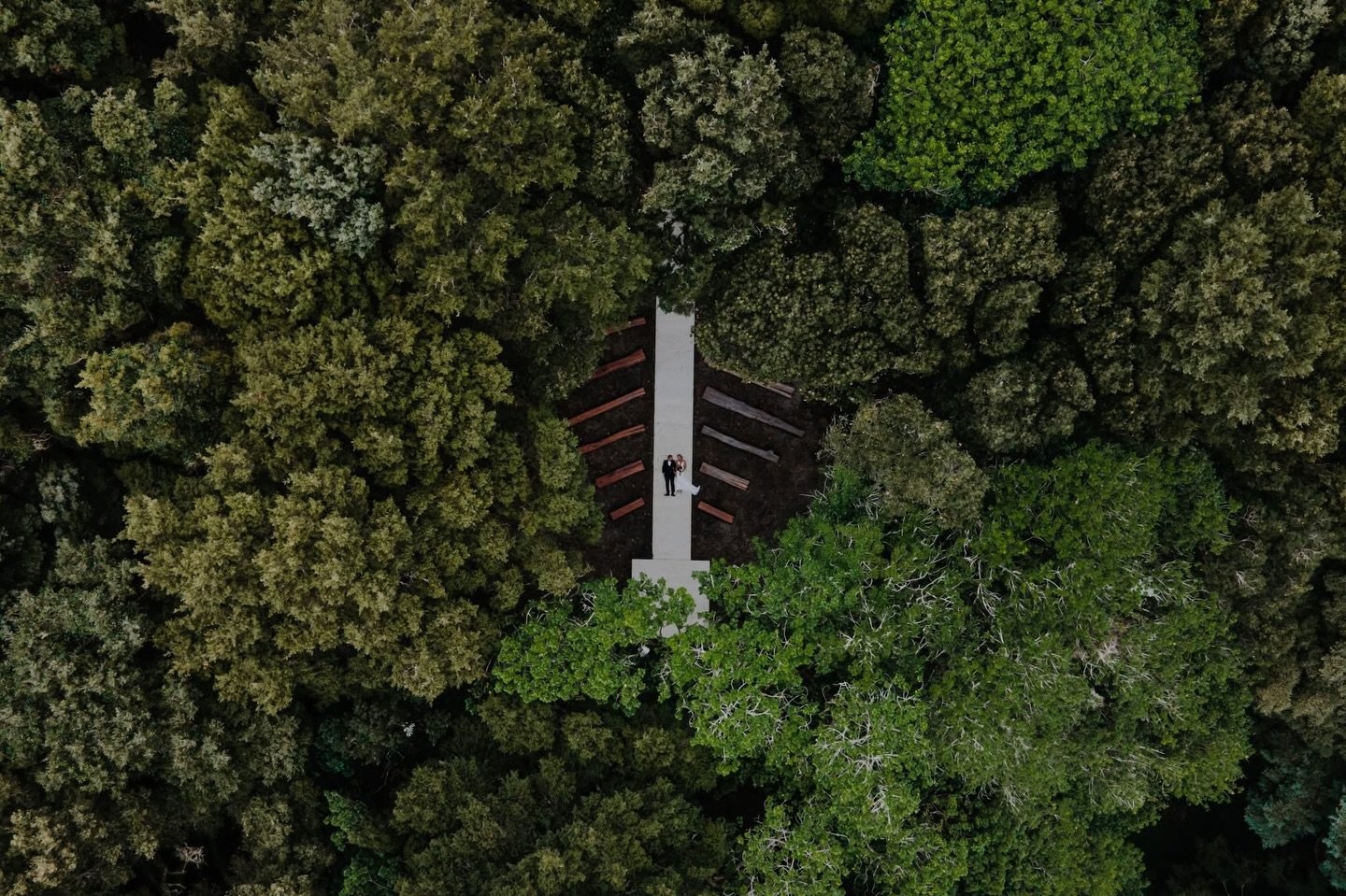 Pretty sure I qualify for my pilot&rsquo;s license after this one&hellip; 😅

Rain, gale winds, threading the drone through a small gap in the tree canopy, and a hawk that decided the drone was its next enemy.

But we got the shot and landed safely. 