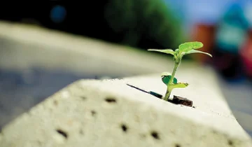 Supera le sfide con il Modello dei 6 Passi della Resilienza