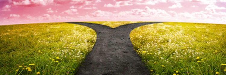 8-passi-decisioni-perfette-albertacuoghi.jpg