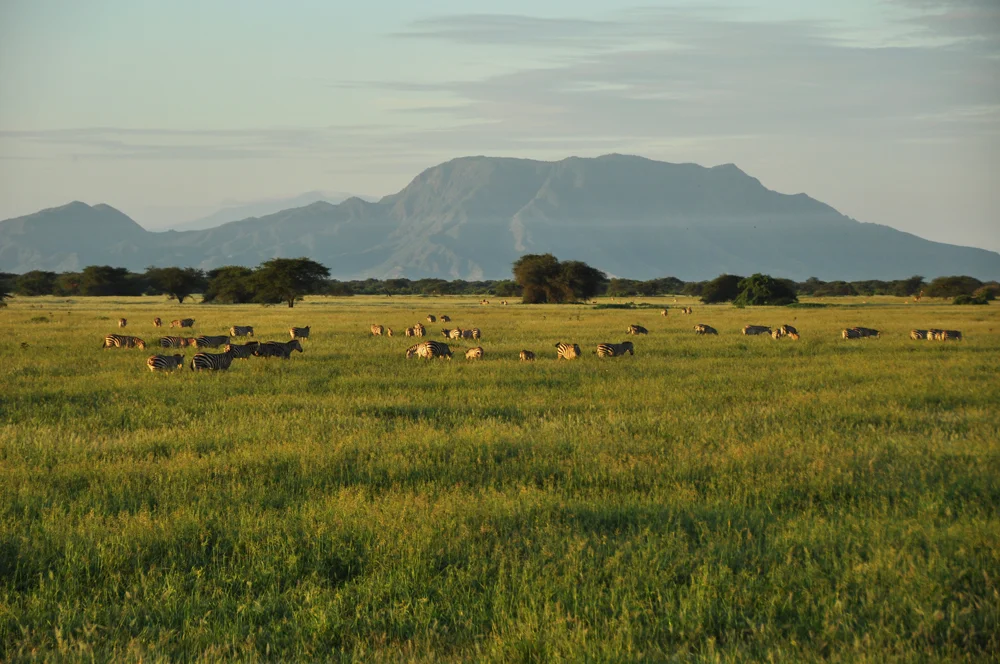 soralo-hectares.jpg