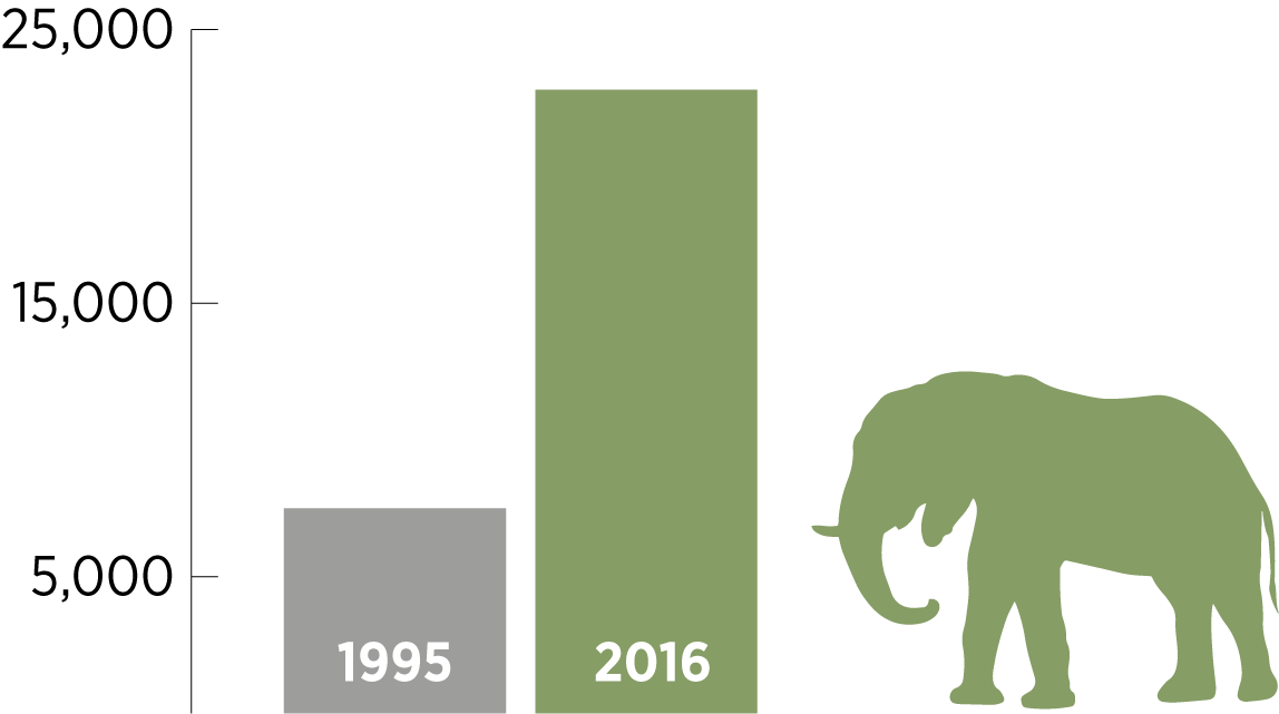 Source: KWS and TAWIRI aerial census data.