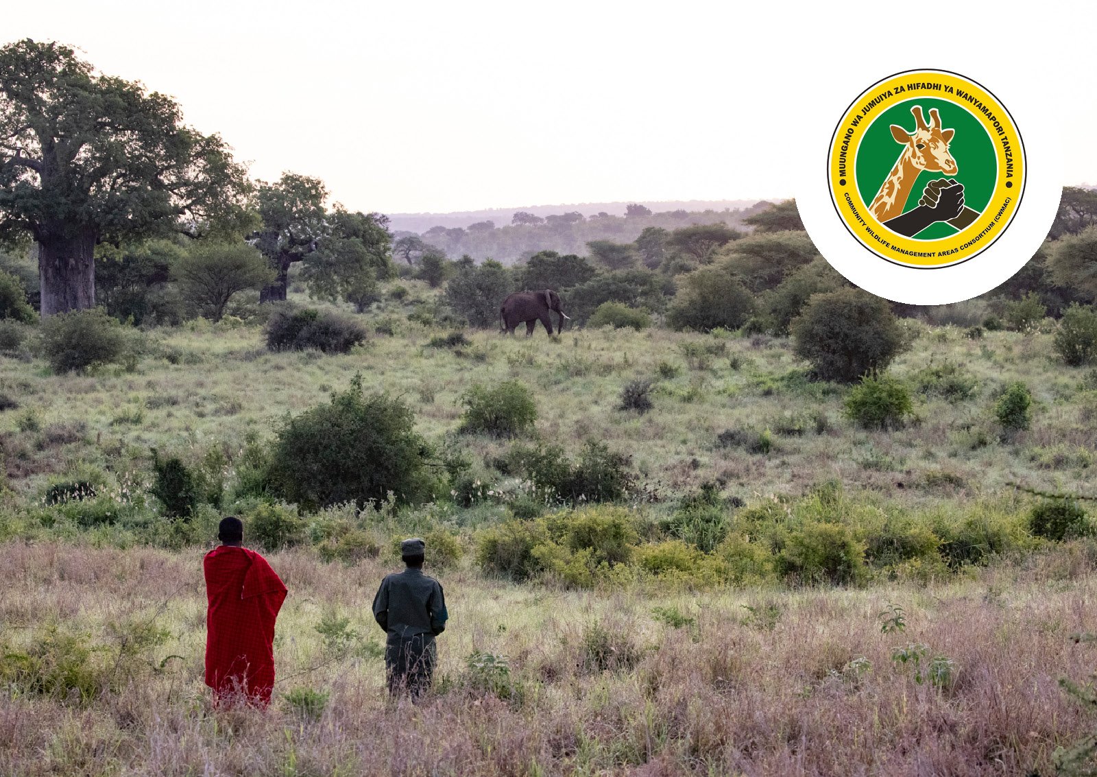 Community Wildlife Management Area Consortium of Tanzania