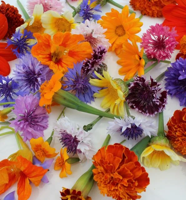 REF:104 boîte de fleurs mixte de saison (55 pieces) seasonal mixed flower box