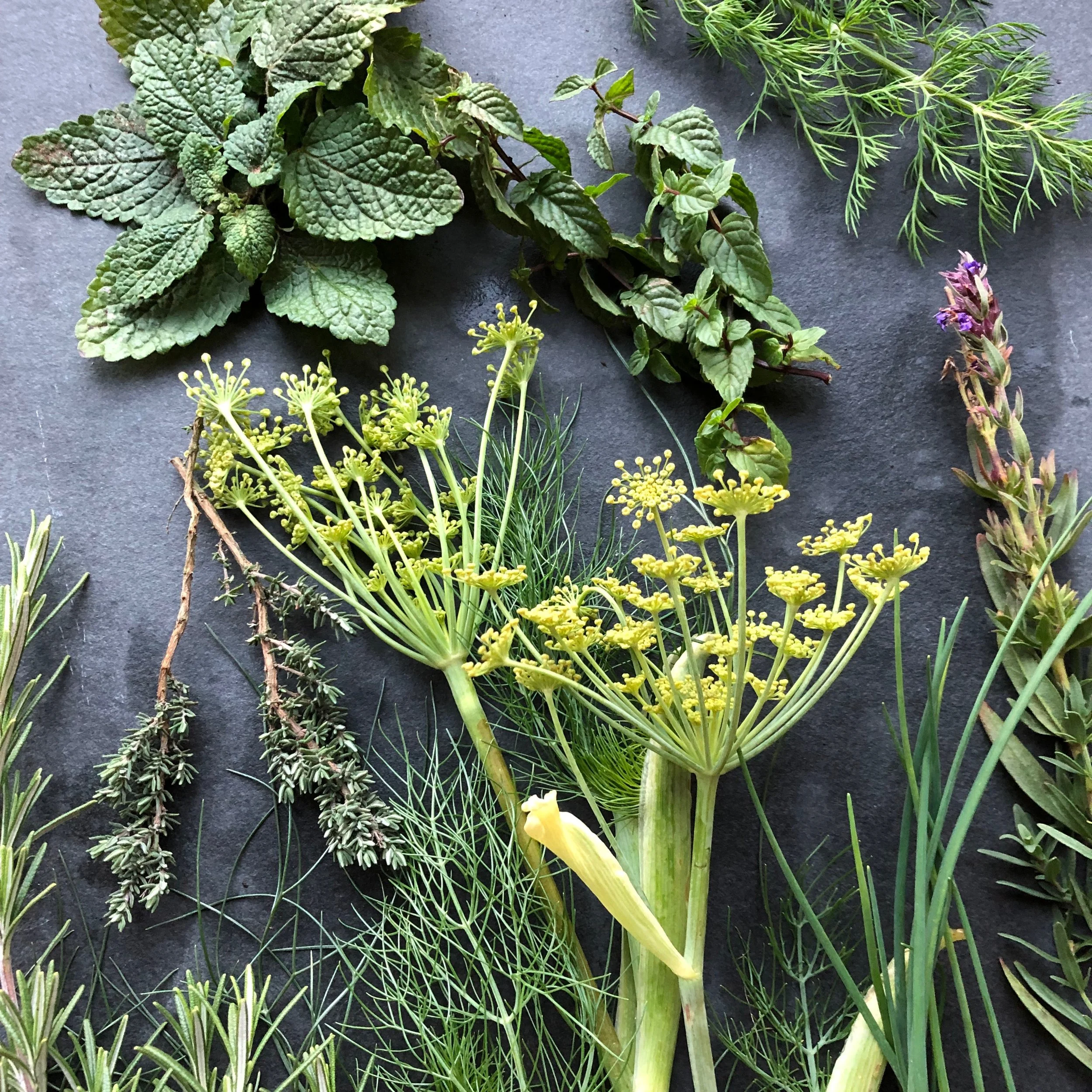 ss-mixed herb box.jpg