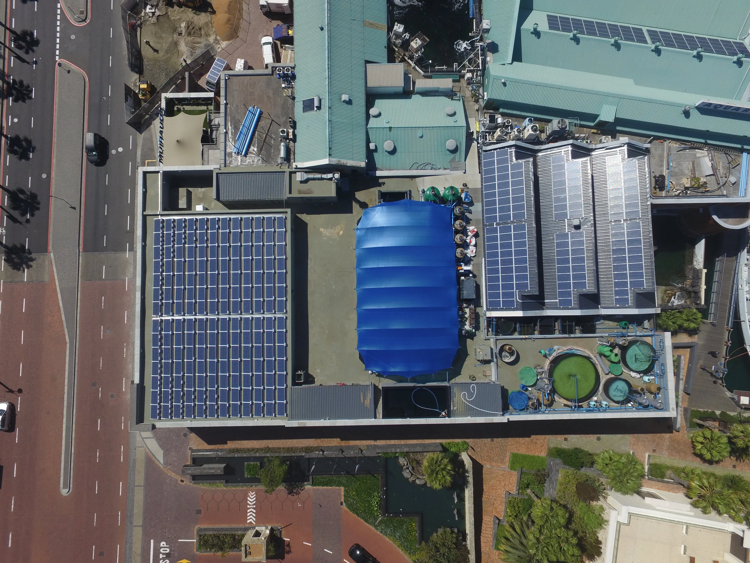 Project Manager, Two Ocean Aquarium Extention, Cape Town