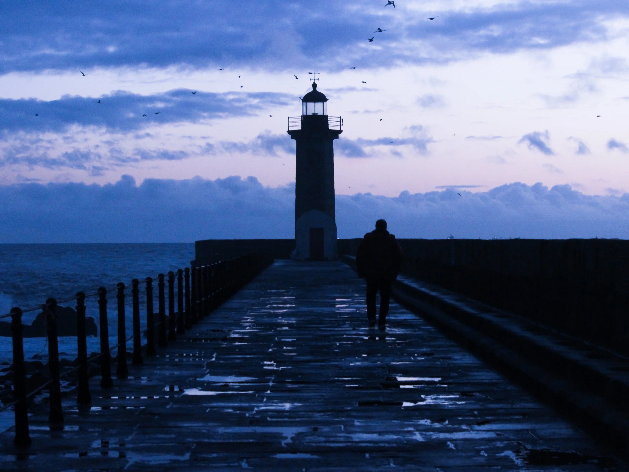 faro4.11.jpg