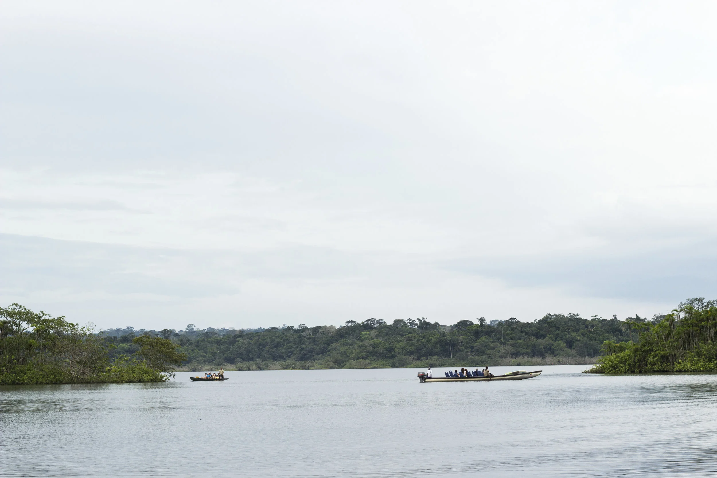amazonas20.jpg