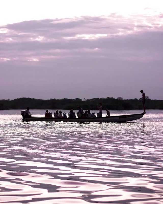 When the sun sets in the Amazon
-
-
-
#canoa #artofvisuals #amazonas #amazonia #reflection #reflexiones #visualambassadors #picoftheday #laguna #nature_good #sunset #awesome_pix #composition #ecuador #naturephotography #earthoutdoors #thevisualscolle