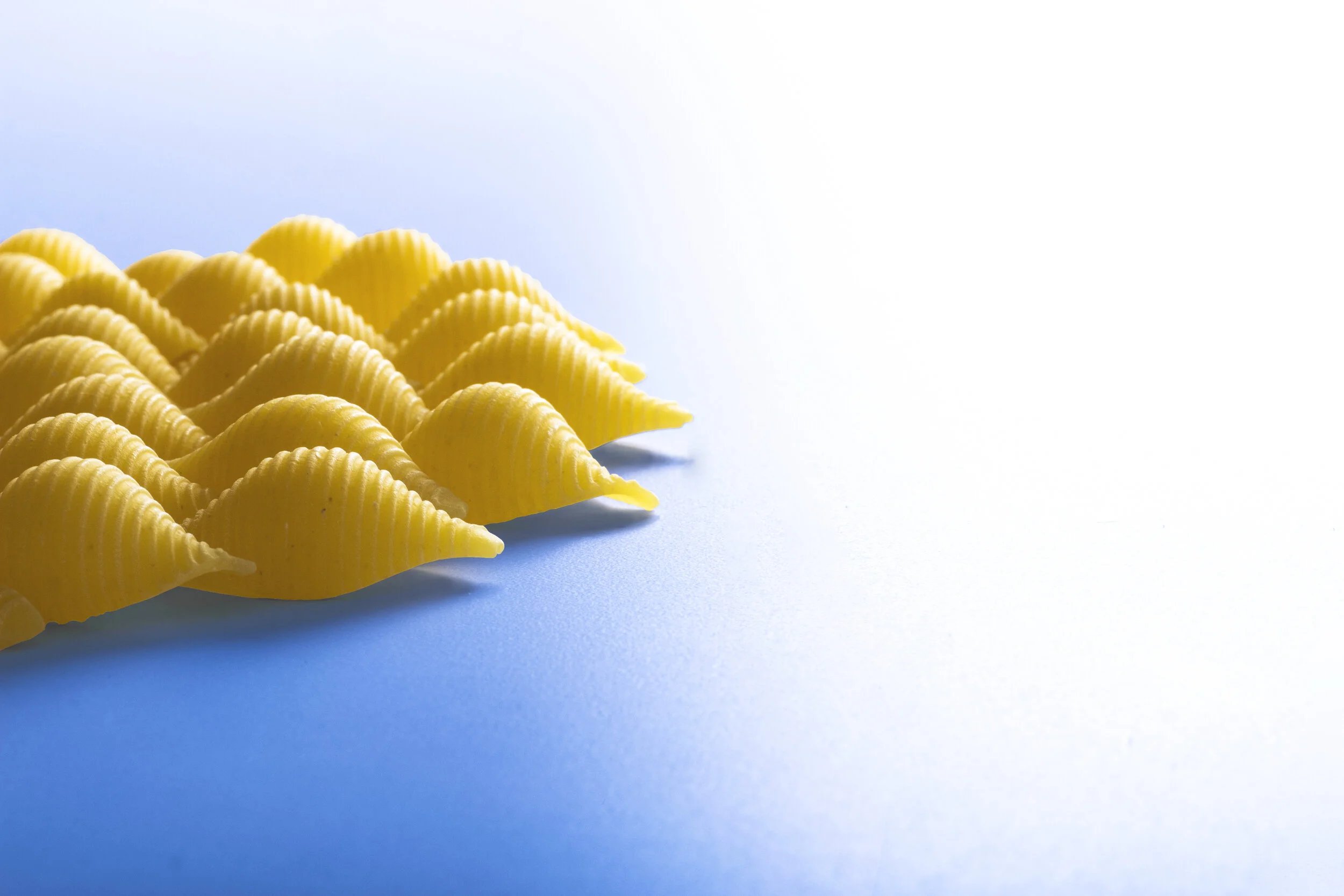 5conchiglie-azul.jpg