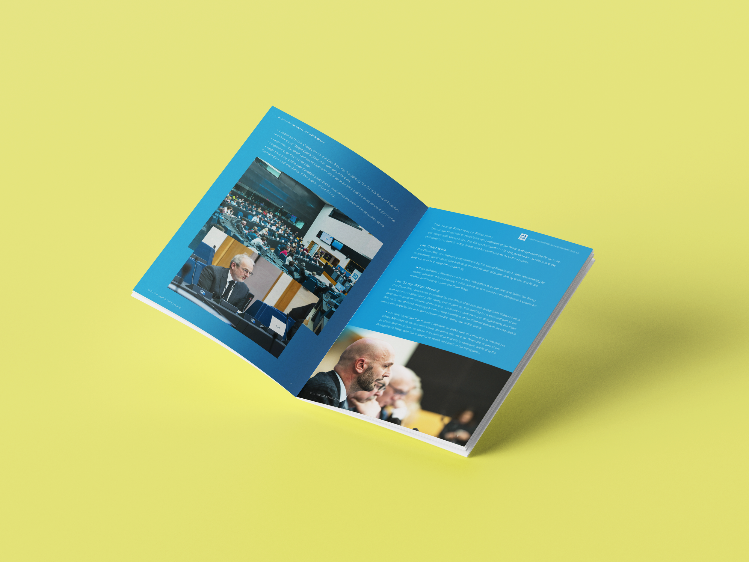 members handbook spread 3.png