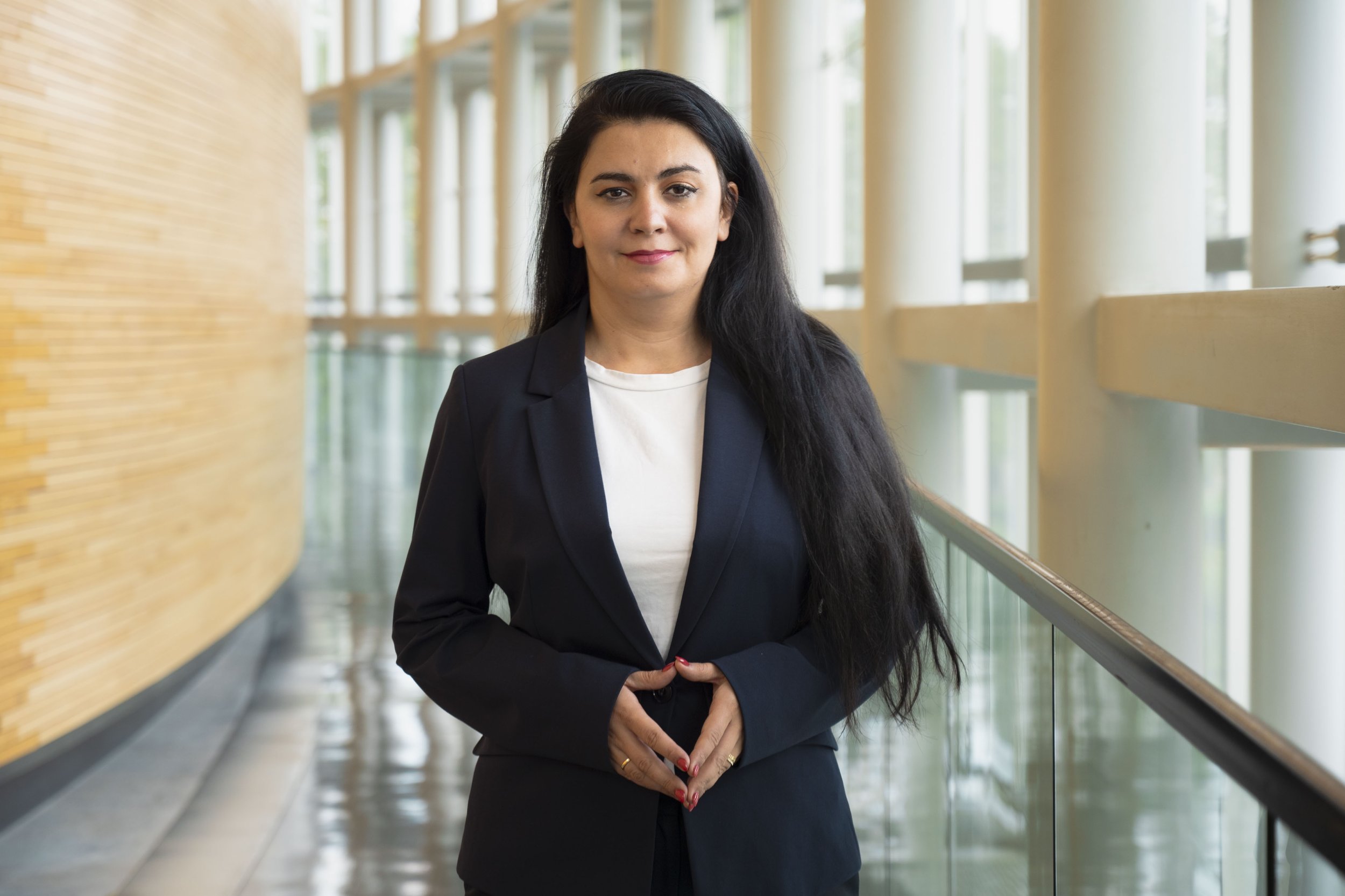 MEP Teodorescu_2.jpg