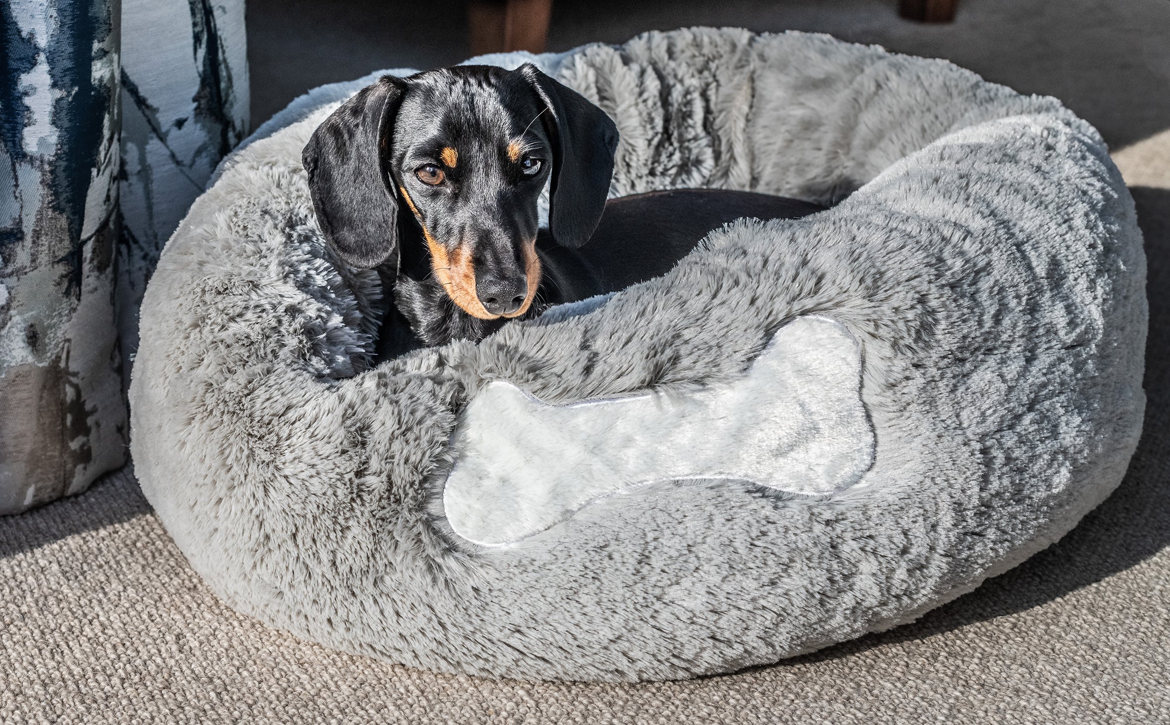 Mikki Calming Donut Bed Lifestyle.jpg