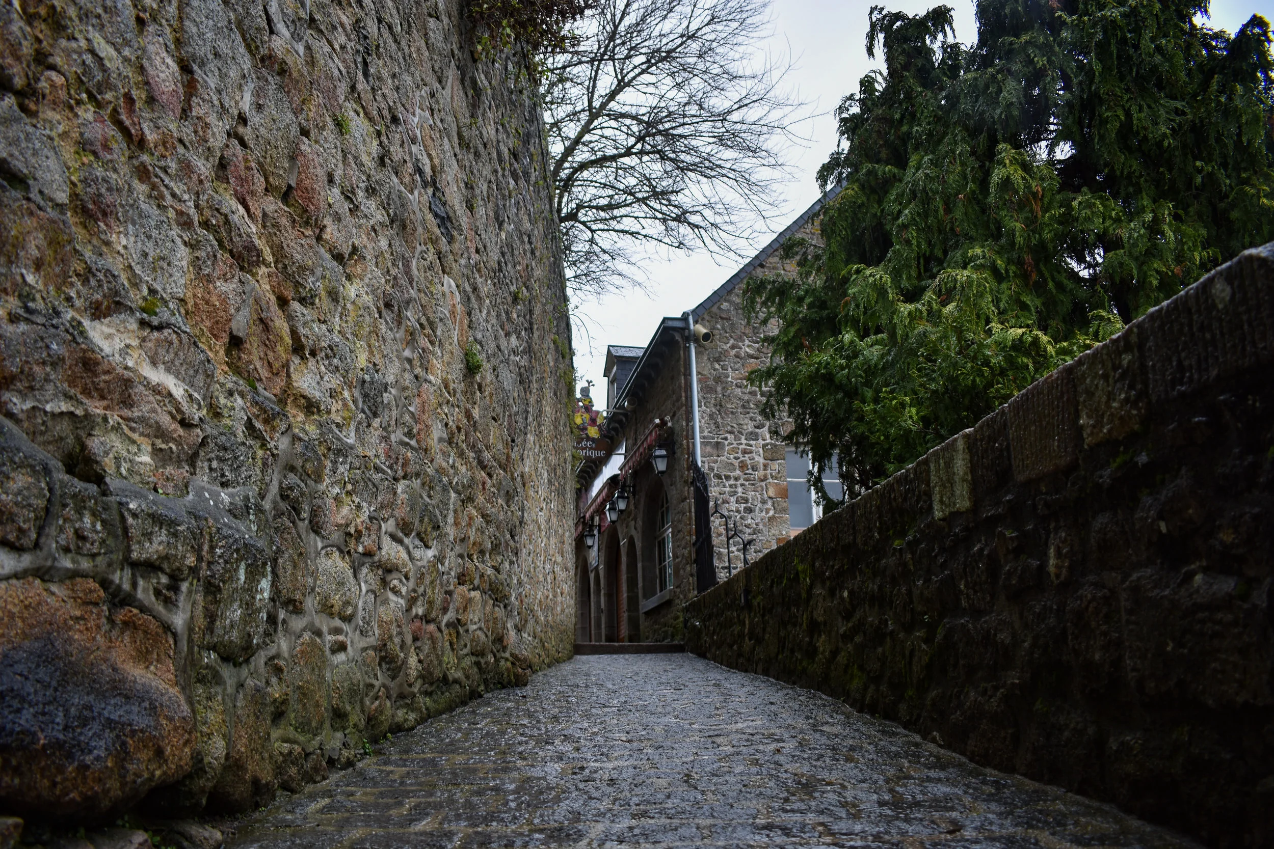 DSC_0272-2.jpg