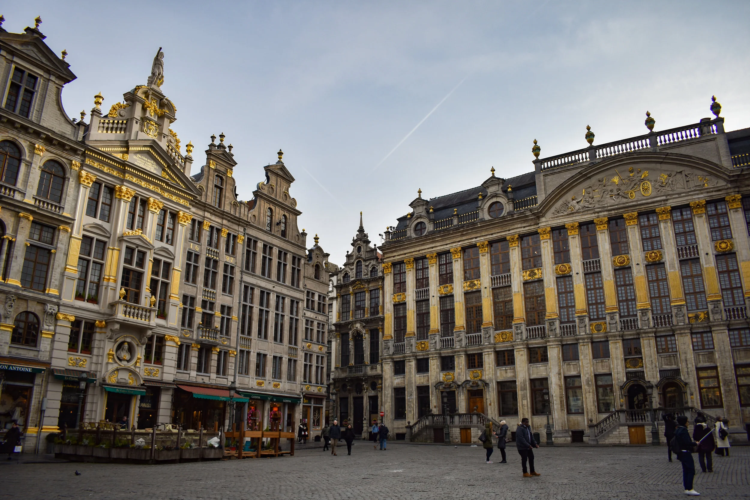 DSC_0463-2.jpg