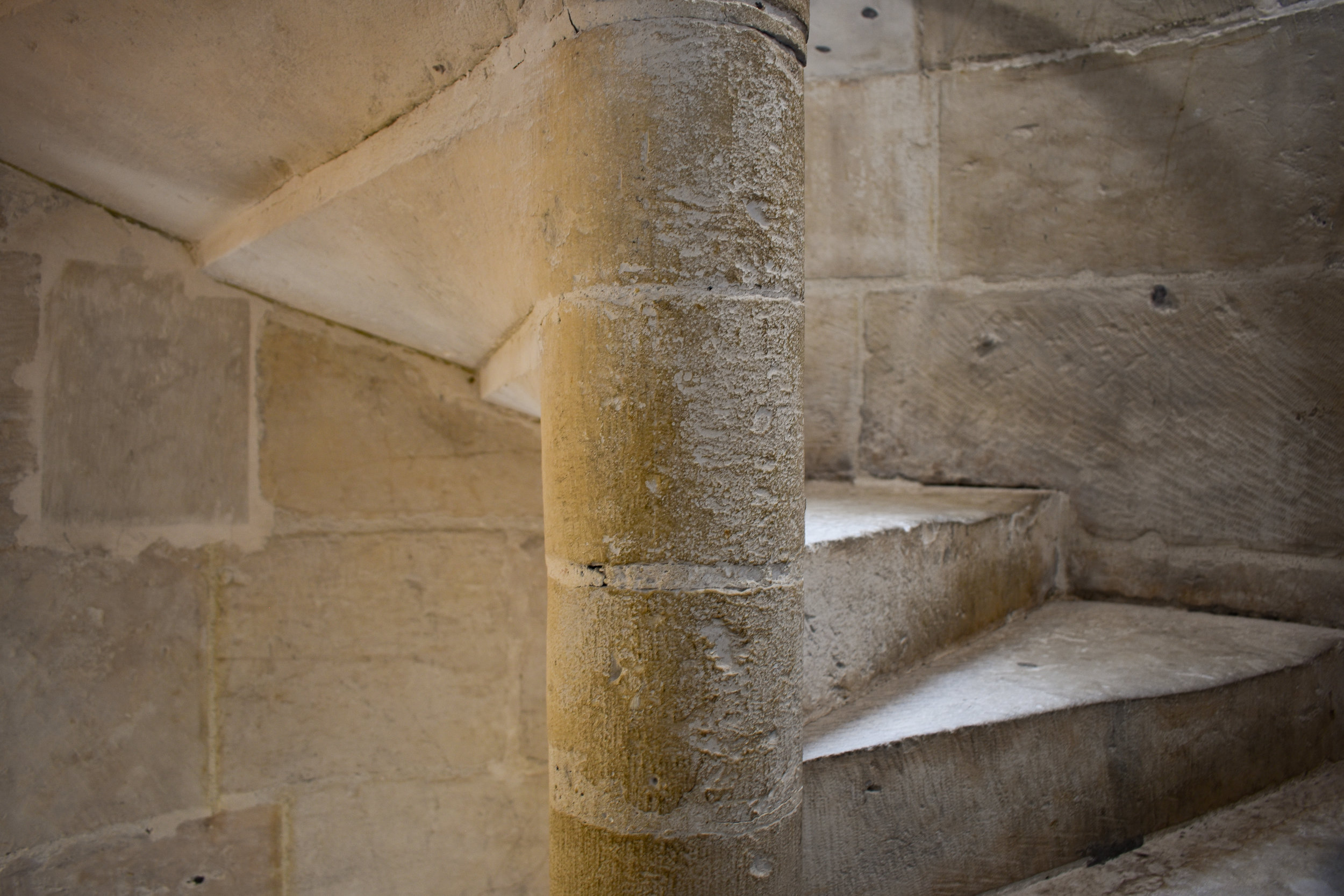 DSC_0573-2.jpg