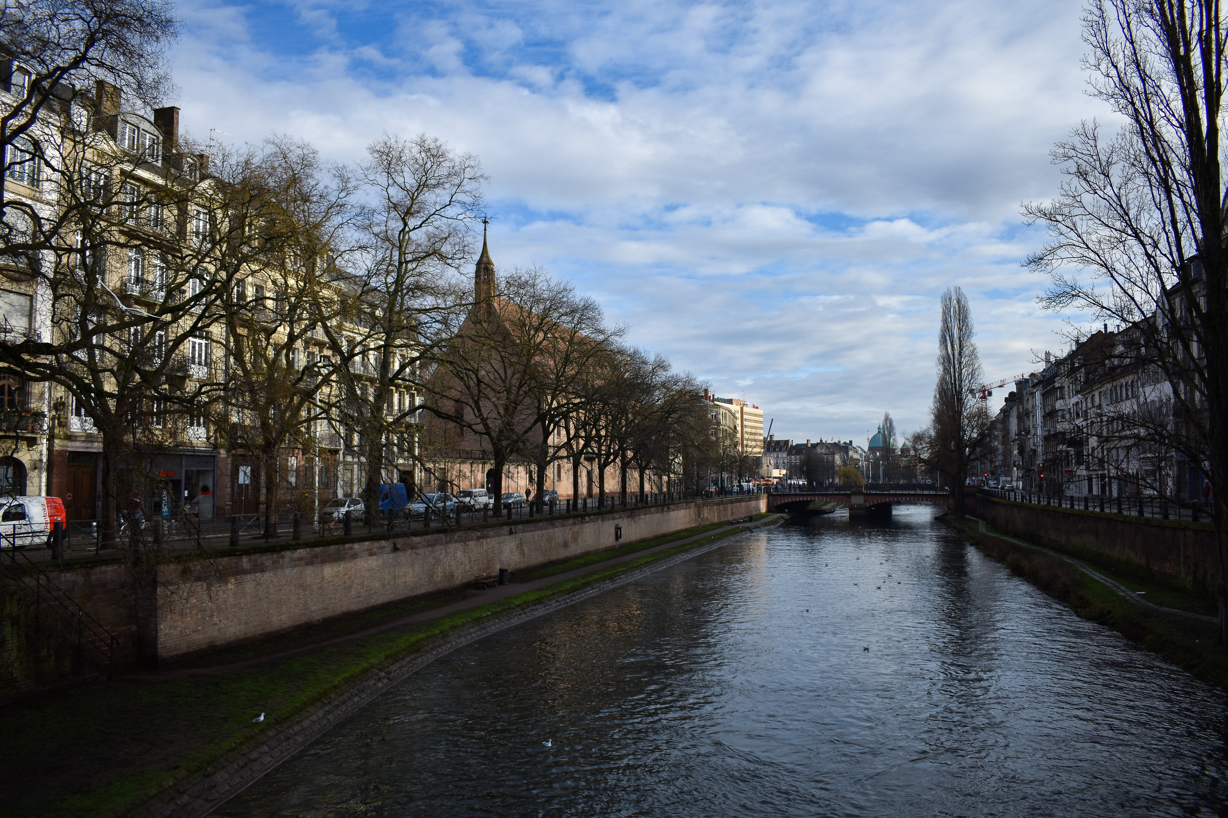 DSC_0584-2.jpg