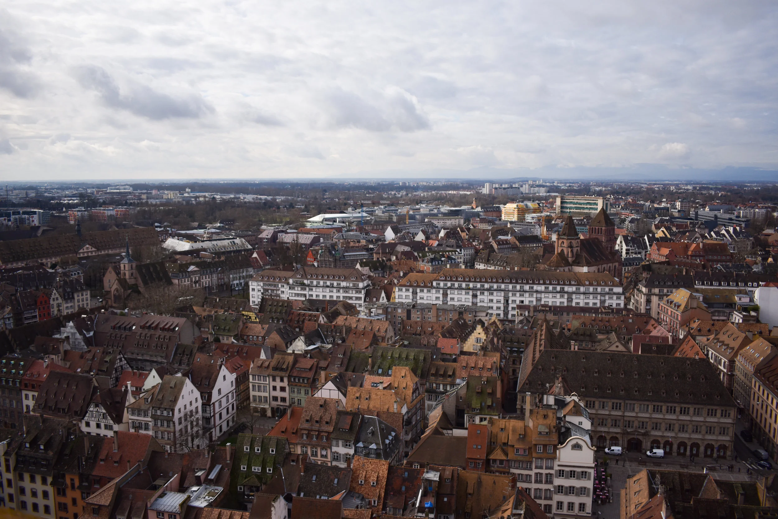 DSC_0601-2.jpg