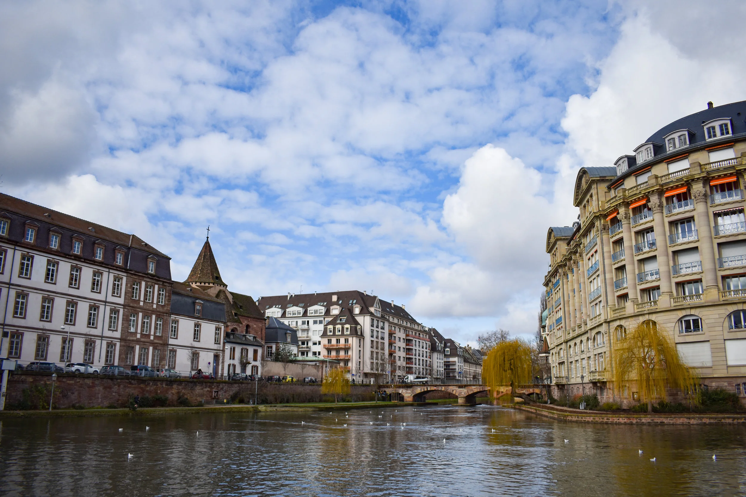 DSC_0604-2.jpg