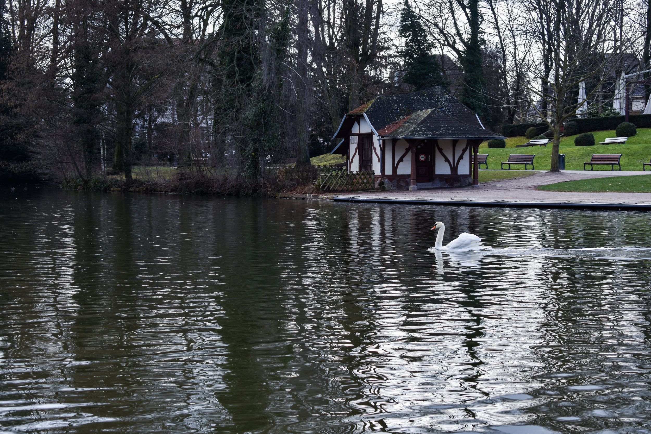 DSC_0608-2.jpg