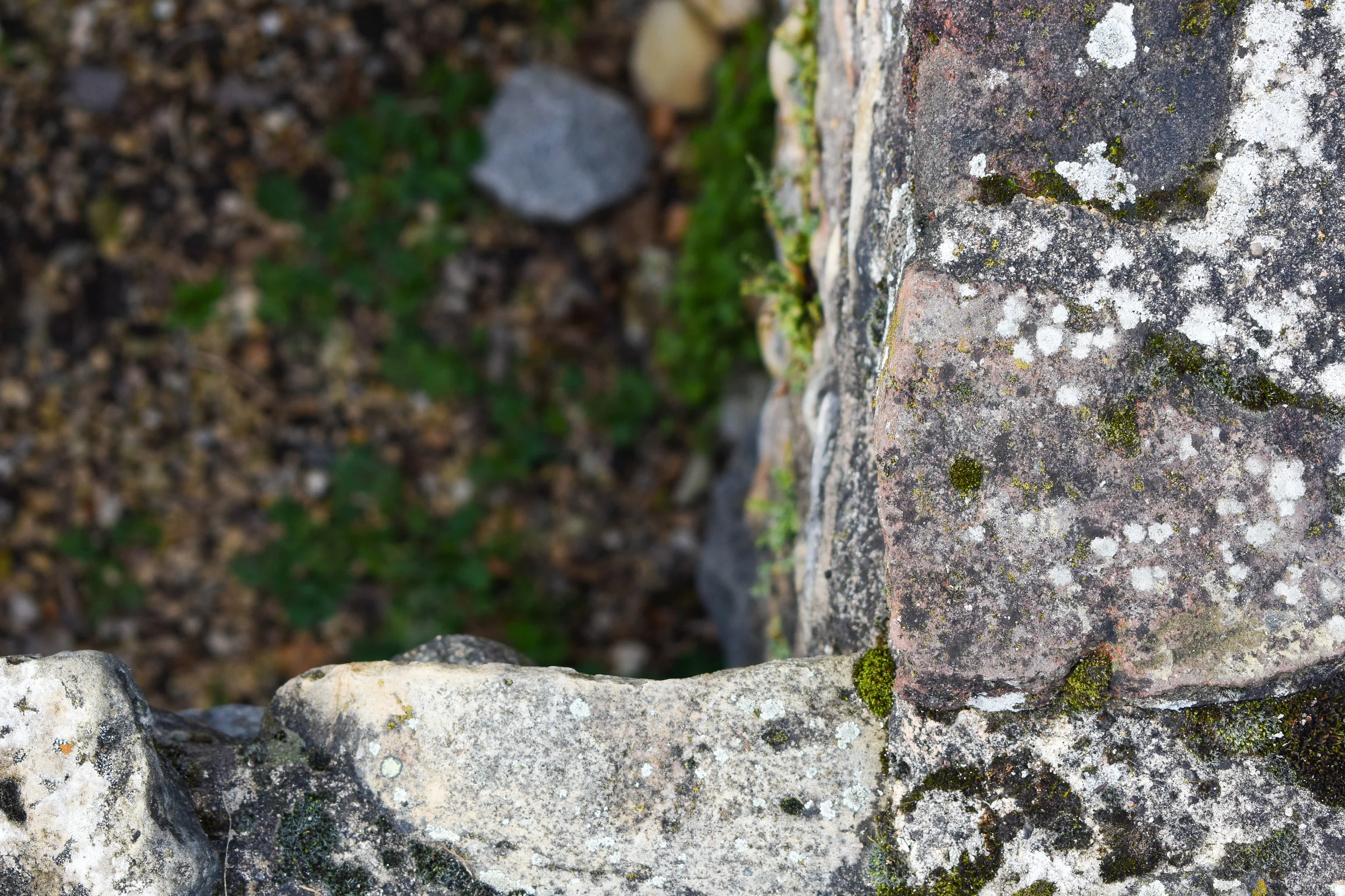 DSC_0763-2.jpg