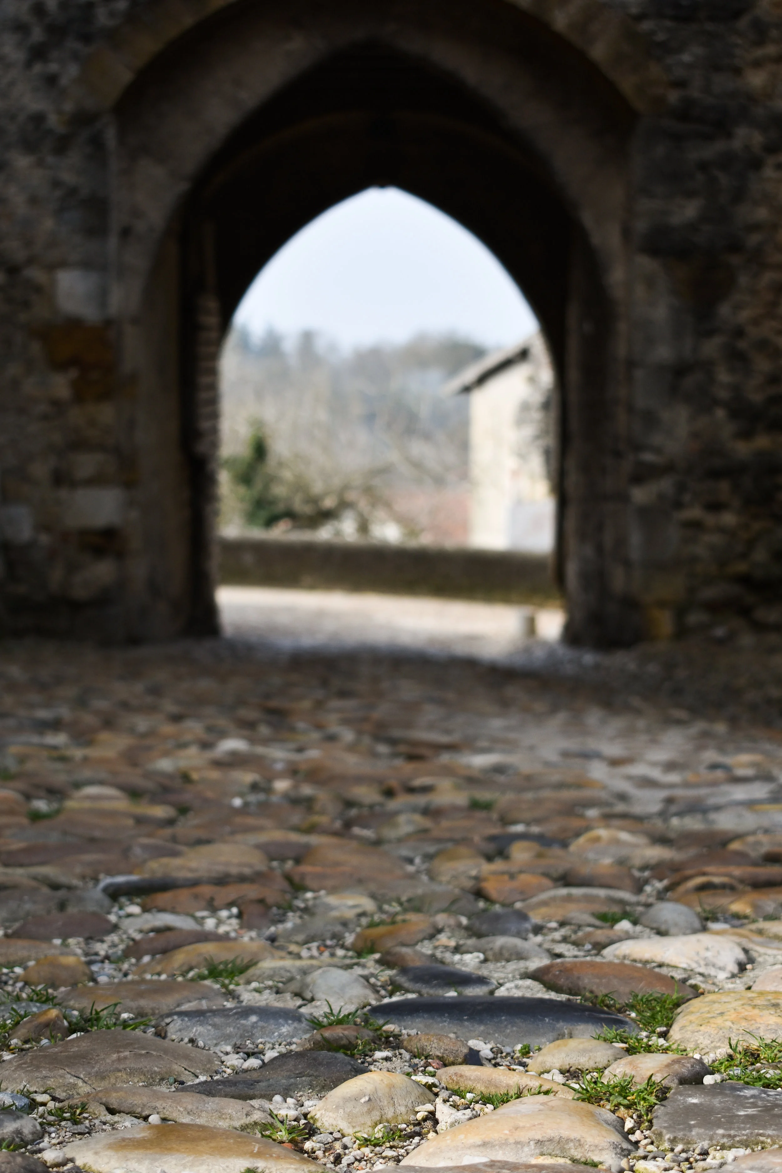DSC_0817-2.jpg