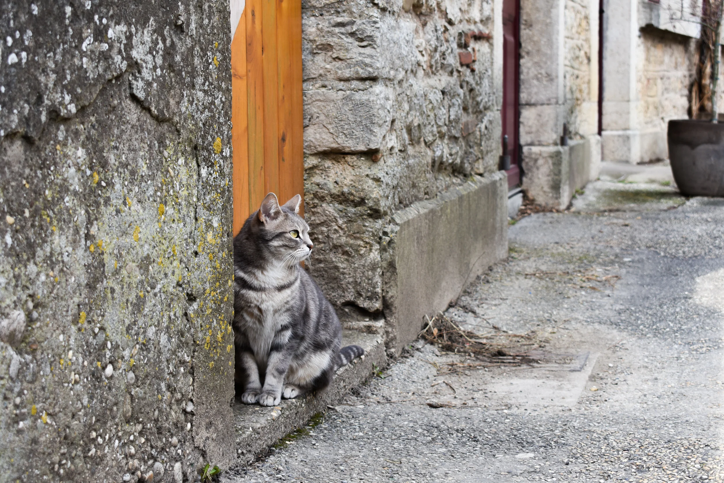 DSC_0821-2.jpg