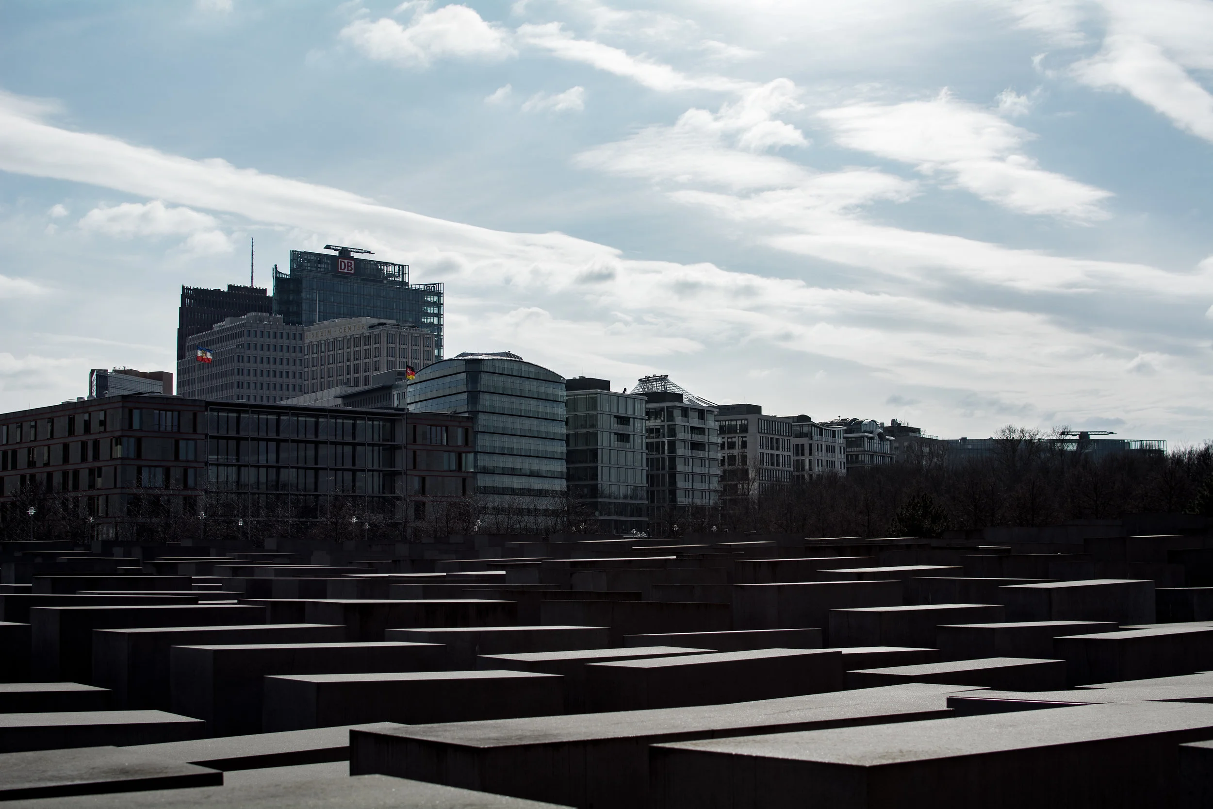 DSC_0656.jpg